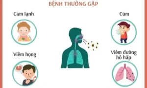 Phòng chống bệnh sau lũ